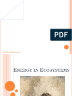 Energy in Ecosystems.