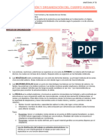 Constitución y Organización Del Cuerpo Humano