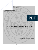 Investigación-Prueba Privilegiada