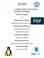 Resumen (Ebook)