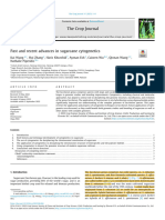 Sugarcane Cytogenetics