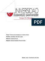 Protocolo de Anestesia Dental Inferior