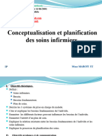 Conceptualisation Des Soins Infirmiers Ip