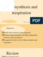 Photosyntheis and Respiration