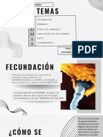 Fecundación, Embarazo y Parto