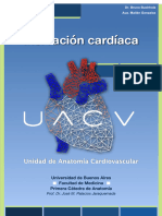 UACV - Inervacion Cardiaca