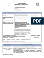 COMUNICACIÓN - SESIÓN (1) Regionalismo