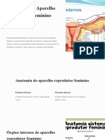 Introdução Ao Aparelho Reprodutor Feminino