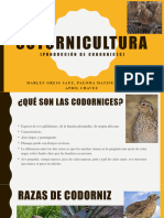 Presentacion Codornices