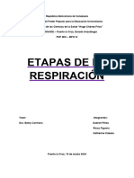 Informe Sobre Las Etapas de La Respiración