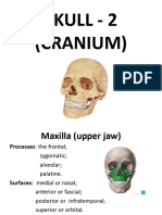 Anatomy Lect of Skull