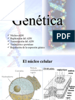 Clase 5 - Genética - Replicación - Transcripción - Traducción