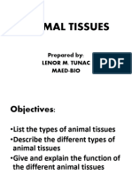 Animal Tissues