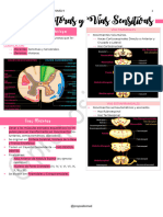 9 - Vías Motoras y Vías Sensitivas