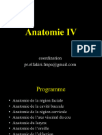 Osteologie Face 2024