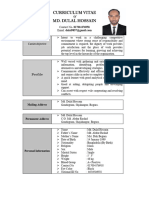 CV Format. Professional CV