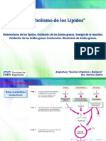 T12A-Met. Lípidos-QcaOrgyBiol - FI-FUNER - Octubre 2020