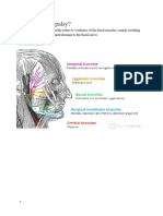 What Is Facial Palsy