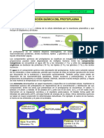 Capítulo 3-Biomoléculas