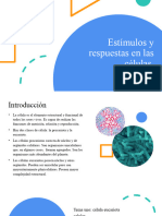 Función Relación en Las Células