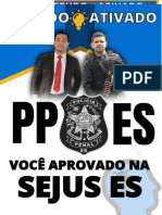 Estatuto Do Desarmamento