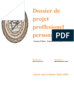 Projet Professionel