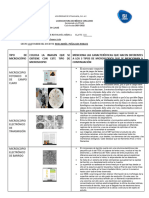 Activ. Microscopia 6.