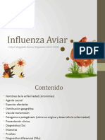 Influenza Aviar