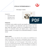 Distemper Documento