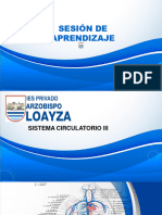 Sistema Circulatorio Iii PDF