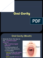 Oral Cavity585689409