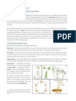 Reprodução Assexuada