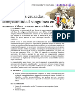 Informe 7