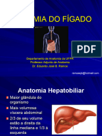 Anatomia Do Fígado Parte 1