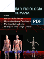 Presentación DE ERGONOMIA