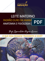 Leite Materno Padrão Ouro Da Alimentação, Anatomia e Fisiologia Da Mama