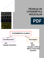 Técnicas Citogenética Moleculares