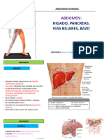 Higado, Pancreas Bazo y Vias Biliares 2022