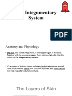 The Integumentary System