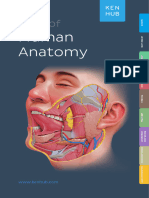 Kenhub Atlas of Human Anatomy