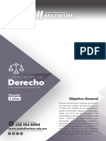 Flyer Derecho Unimilenium