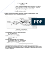 DNAmazing Challenge (Protein Synthesis)