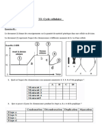 2024-Exercices-Cycle Cellulaire