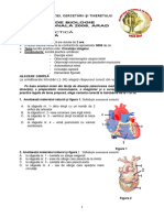 2008 Biologie Etapa Nationala Subiecte Clasa A X-A 1