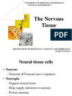 Nervous Tissue System-92618