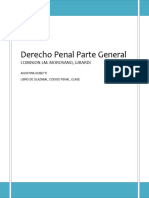 DERECHO PENAL PG Copia Seguridad