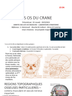 1-Les Os Du Crane