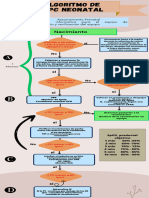 Algoritmo de RCP Neonatal - 123924