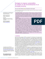 Strategies To Improve Sustainability An Analysis of 120 Microenterprises in An Emerging Economy