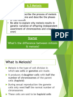 6.3 Meiosis